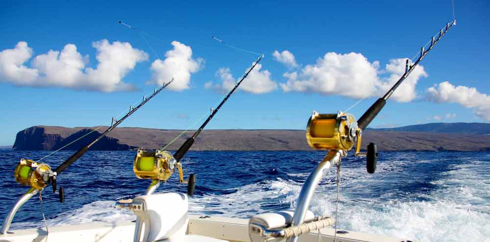 Deep sea fishing clearance rods